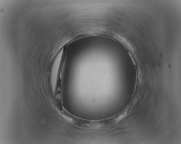 X0000077390105200611101804