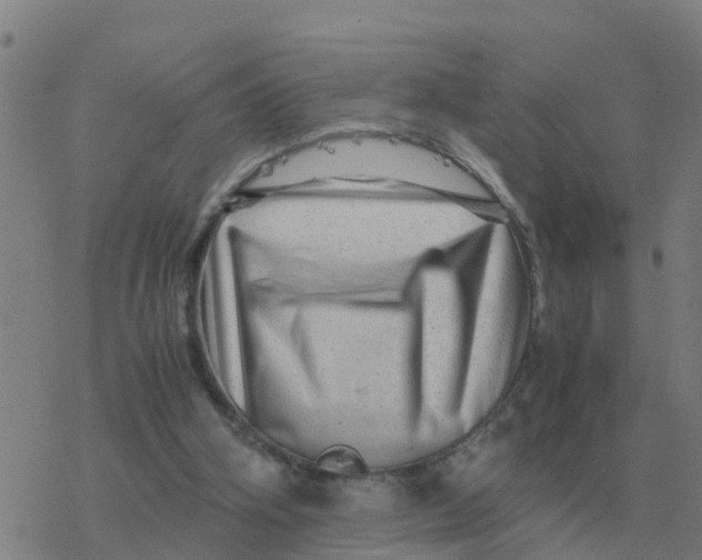 X0000077390106200611101804