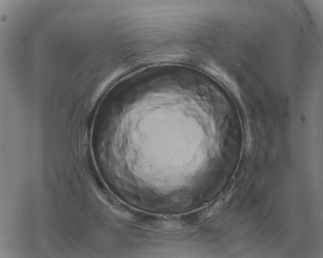 X0000077390107200611101804