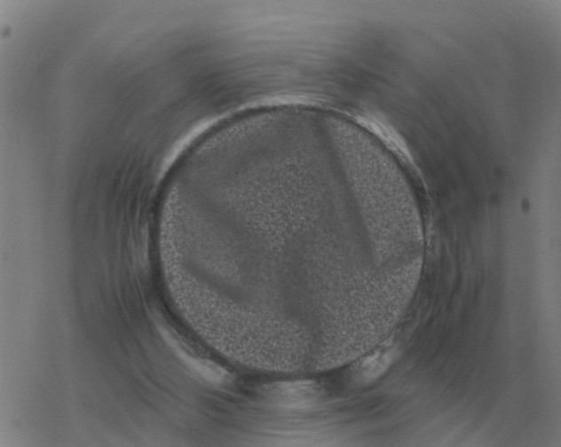 X0000077390108200611101804