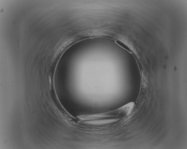 X0000077390109200611101804