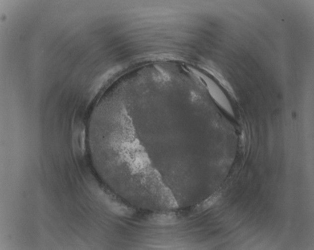 X0000077390110200611101804