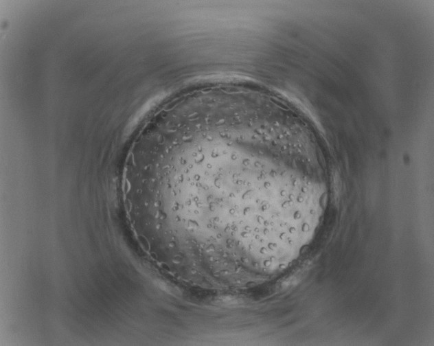 X0000077390111200611101804