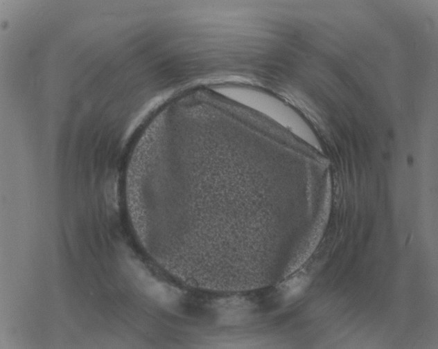 X0000077390112200611101804