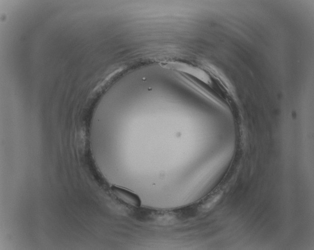 X0000077390113200611101804