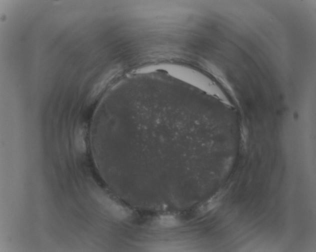 X0000077390114200611101804