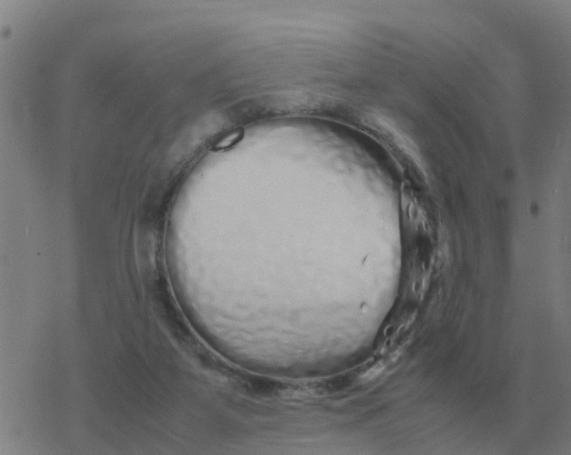 X0000077390115200611101804