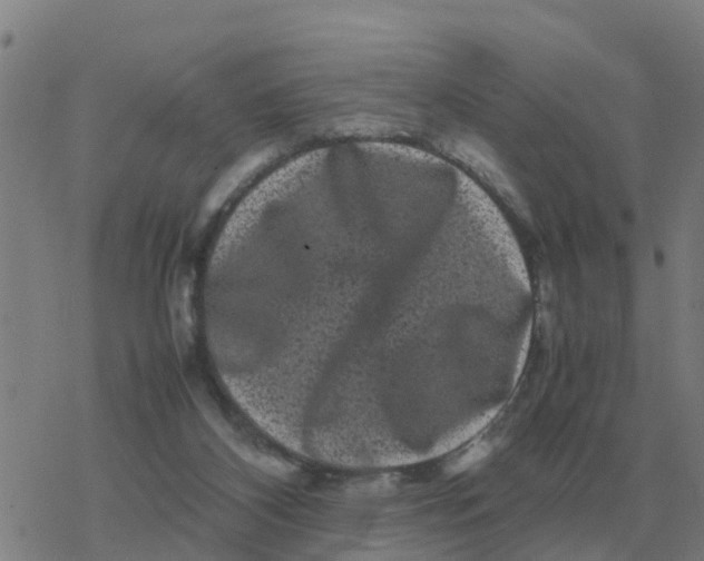 X0000077390116200611101804