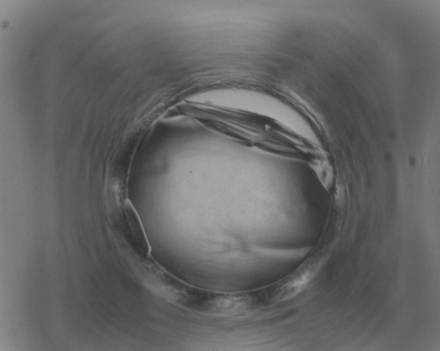 X0000077390117200611101804