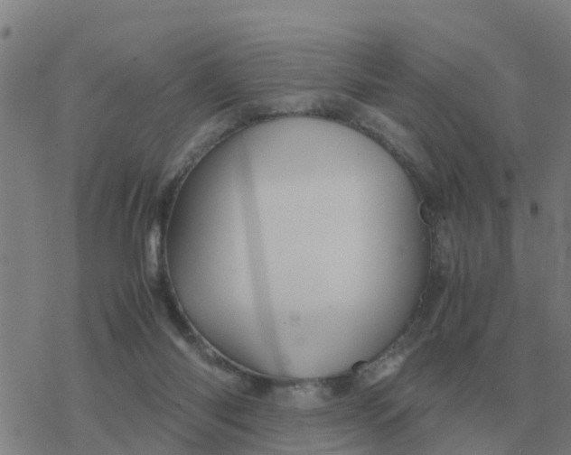 X0000077390118200611101804