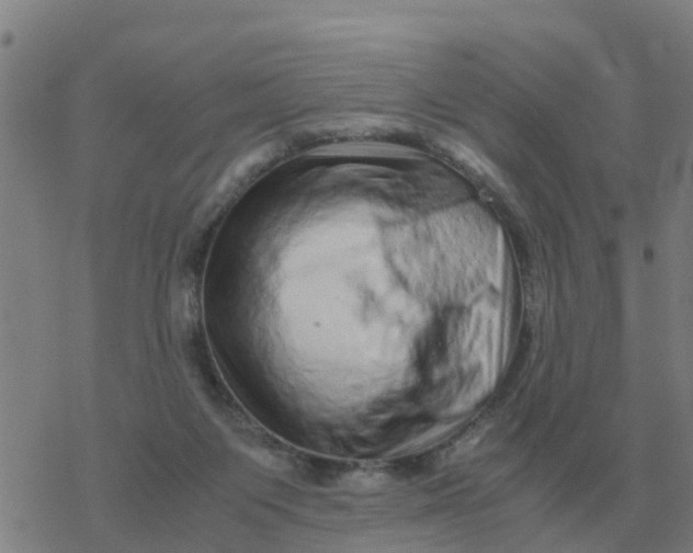 X0000077390119200611101804