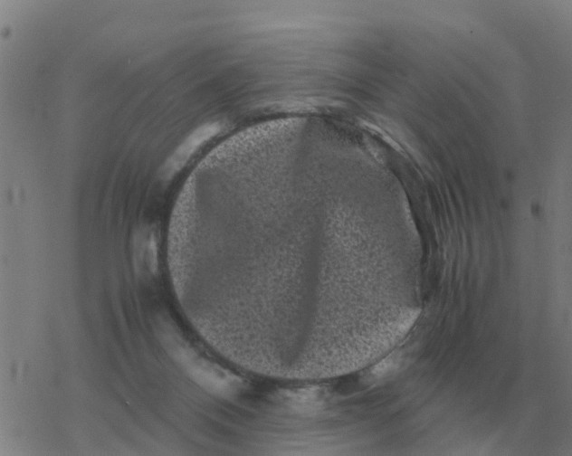 X0000077390120200611101804