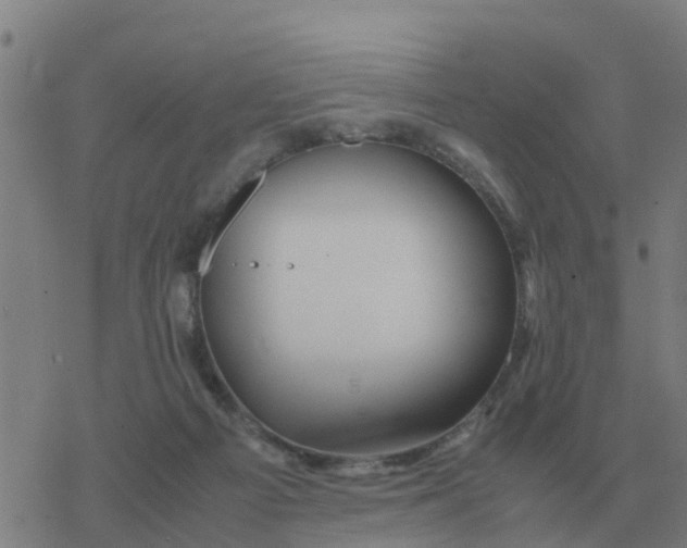 X0000077390121200611101804