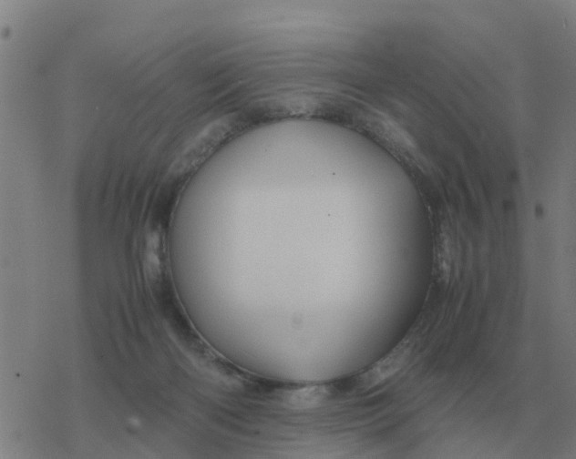 X0000077390122200611101804