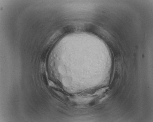 X0000077390123200611101804