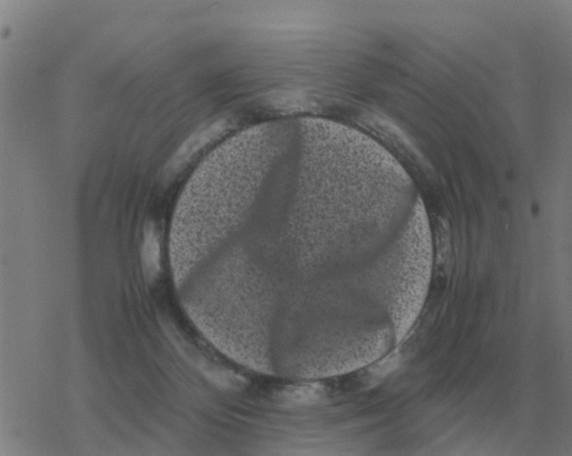 X0000077390124200611101804