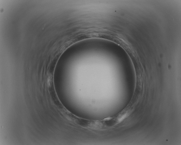 X0000077390125200611101804