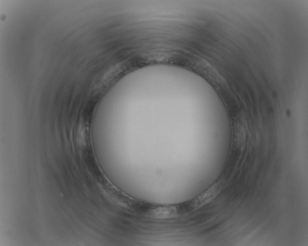 X0000077390126200611101804