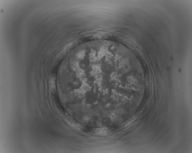 X0000077390127200611101804