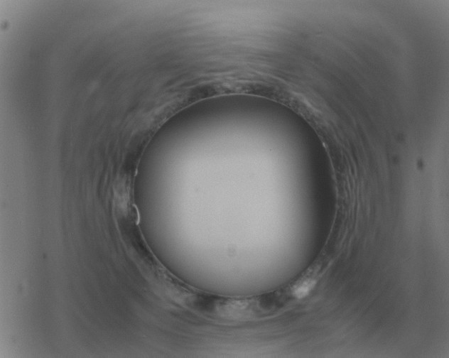 X0000077390129200611101804