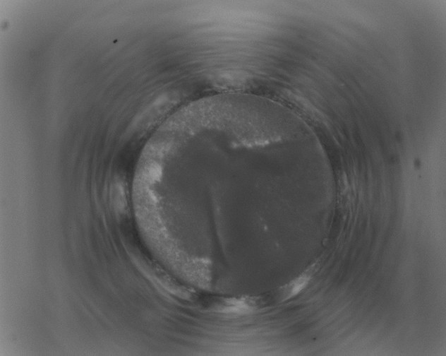 X0000077390130200611101804