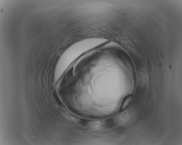 X0000077390131200611101804