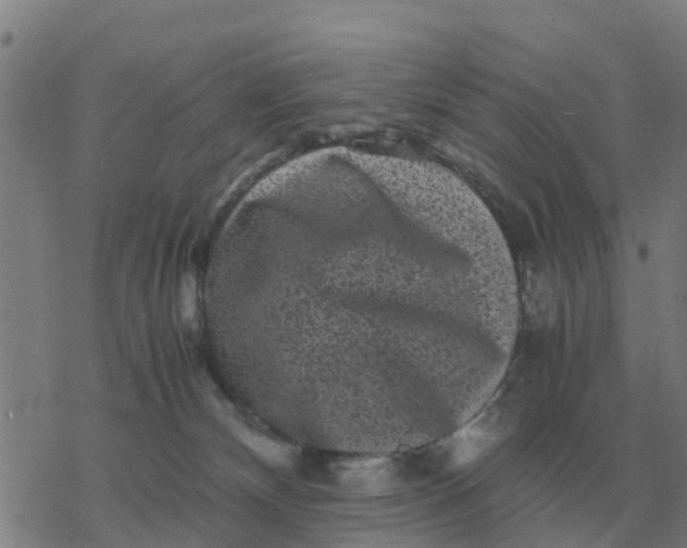 X0000077390132200611101804