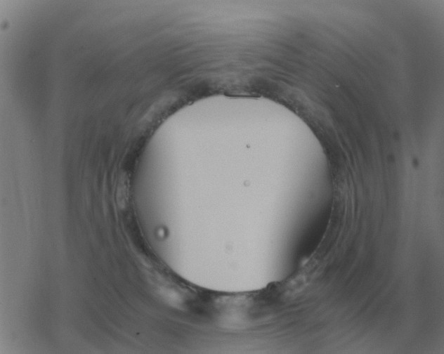 X0000077390133200611101804