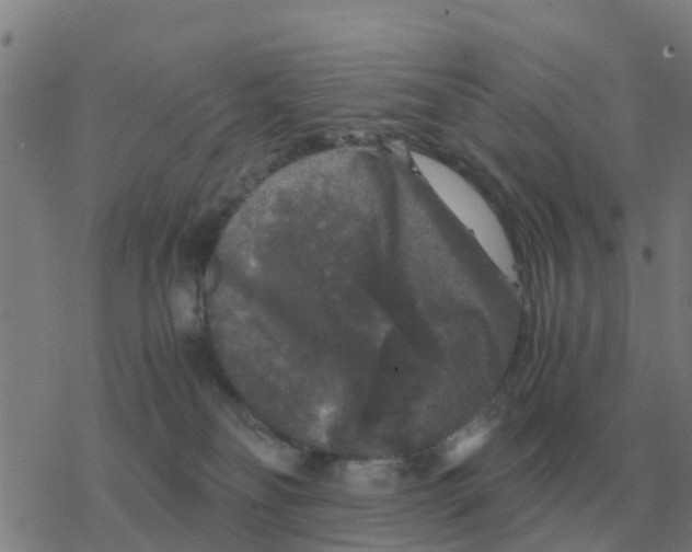 X0000077390134200611101804