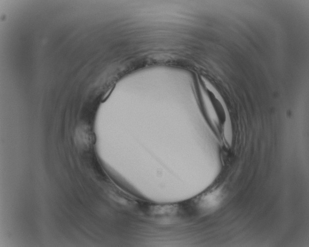 X0000077390135200611101804