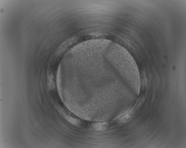 X0000077390136200611101804