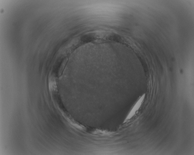 X0000077390137200611101804