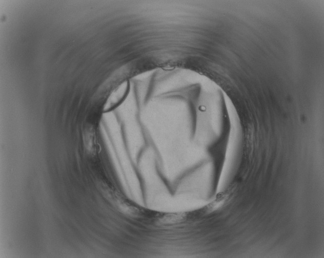 X0000077390138200611101804