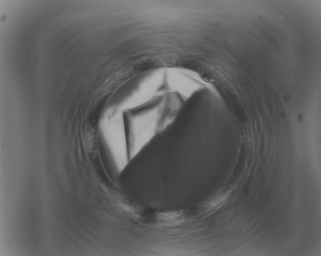 X0000077390139200611101804