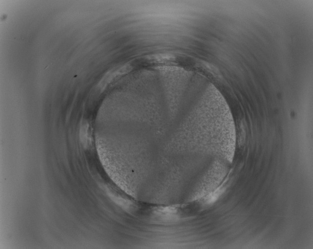 X0000077390140200611101804