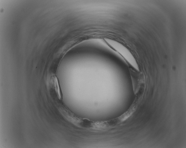 X0000077390141200611101804