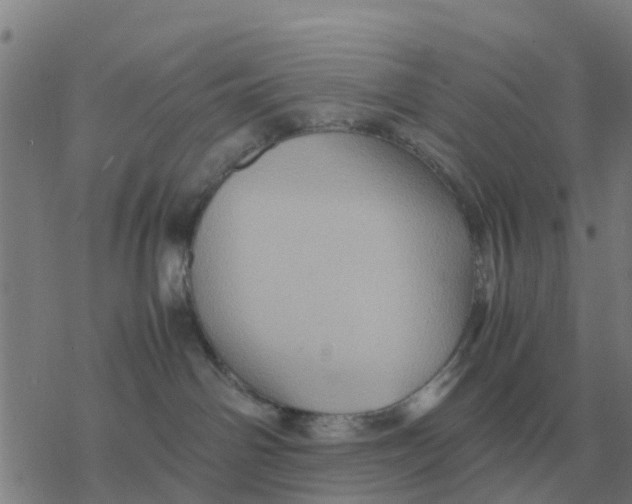 X0000077390142200611101804