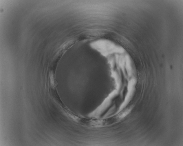 X0000077390143200611101804