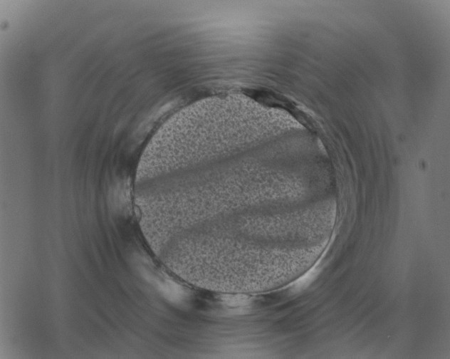 X0000077390144200611101804