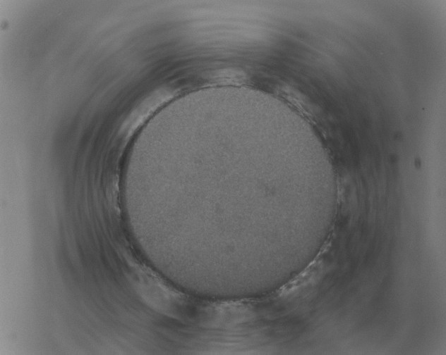 X0000077390146200611101803