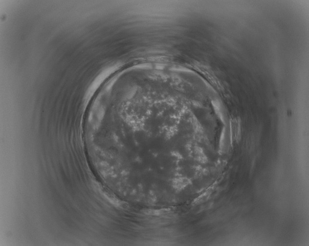 X0000077390147200611101803