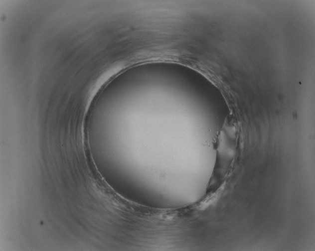 X0000077390148200611101803