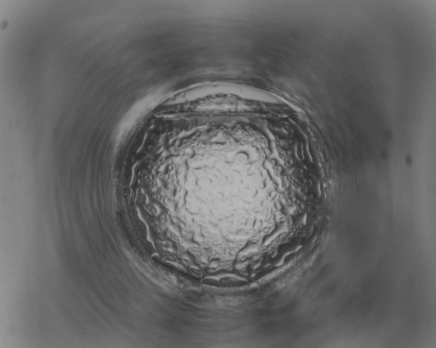 X0000077390149200611101803