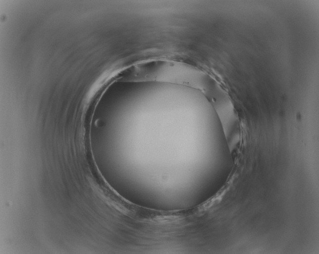 X0000077390150200611101803