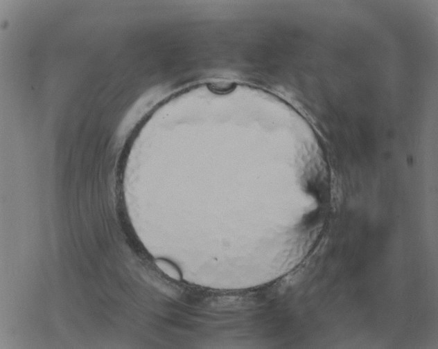 X0000077390151200611101803