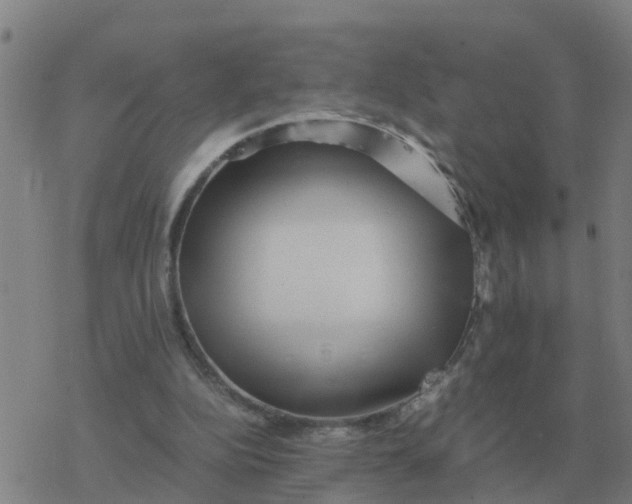 X0000077390152200611101803