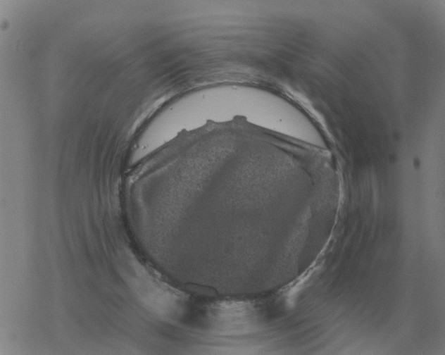 X0000077390154200611101803