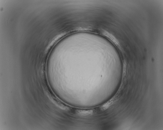 X0000077390155200611101803