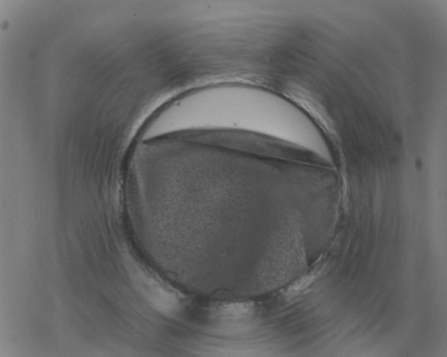 X0000077390156200611101803