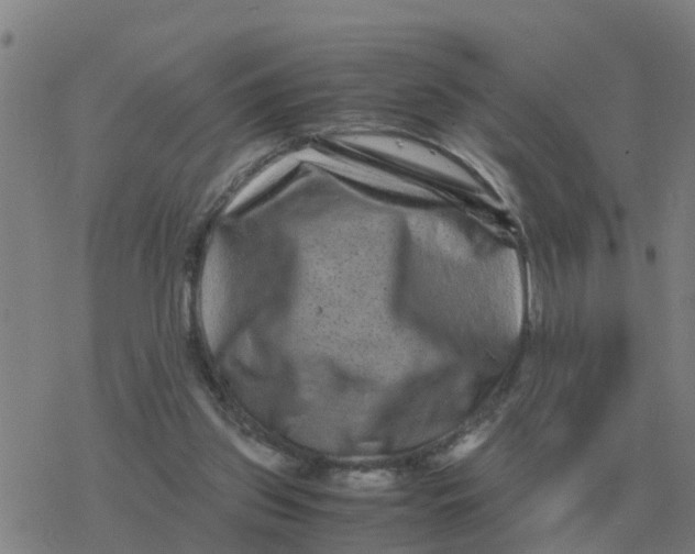 X0000077390157200611101803